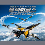 한국 공군 최정예 특수 비행팀 ‘블랙 이글스(Black Eagles)’
